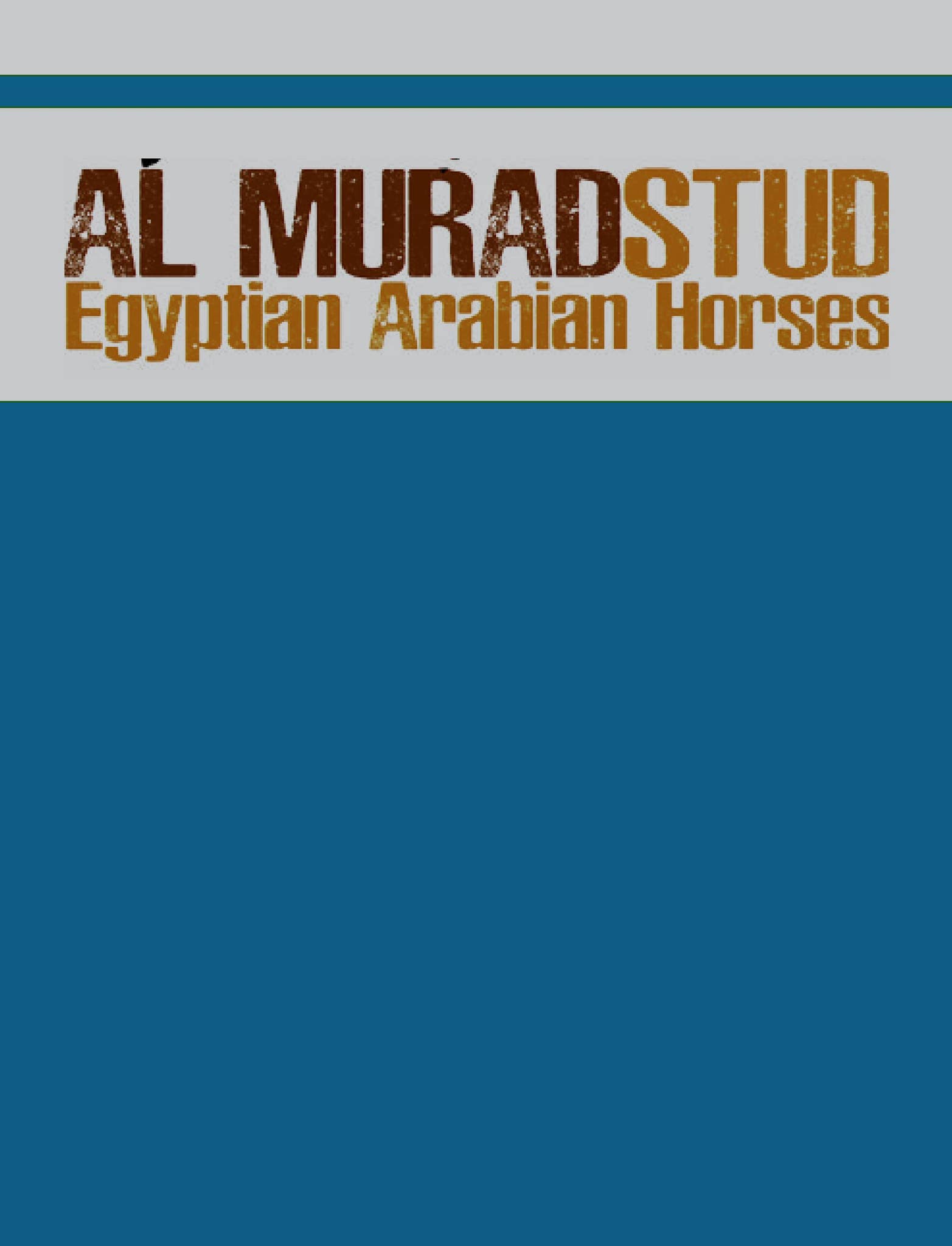 Almud Ad Al Murad Stud part.I by Alim editrice - Issuu
