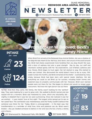 2025 Jan - June Newsletter DMRAAS