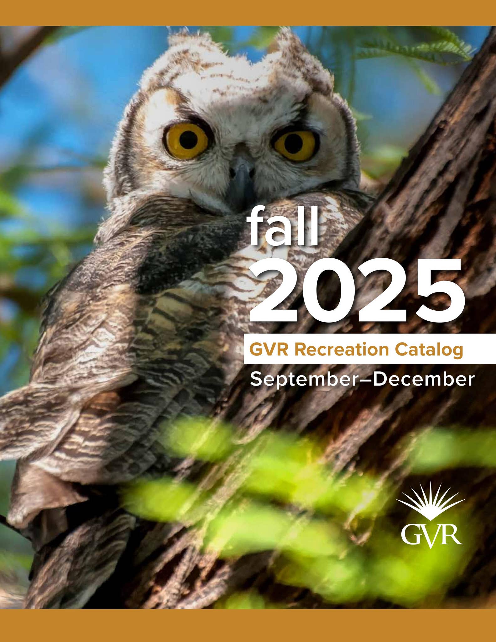 GVR Fall 2025 Catalog by Issuu