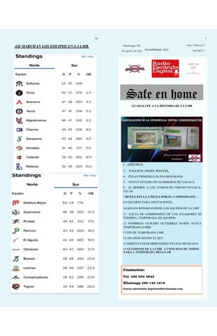 Safe en Home Número 07 agosto 03 de 2025[1]