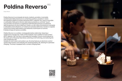 Davide Colona ZAFFERANO AKKU LEUCHTEN 灯饰目录 07-2025 第 22 页