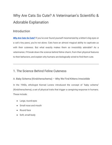 Why Are Cats So Cute?