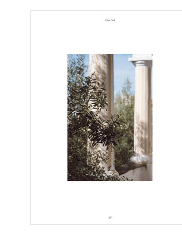 ACC Art Books 灯饰目录 · Portugese Houses with History 第 4 页
