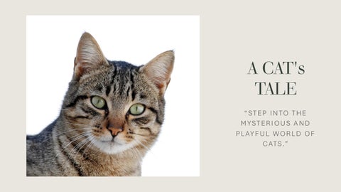 A CAT'S TALE