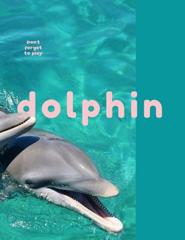 Dolphin Complex Narrative