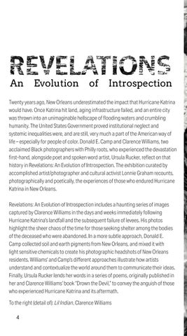 Revelations: An Evolution of Introspection 第 4 页