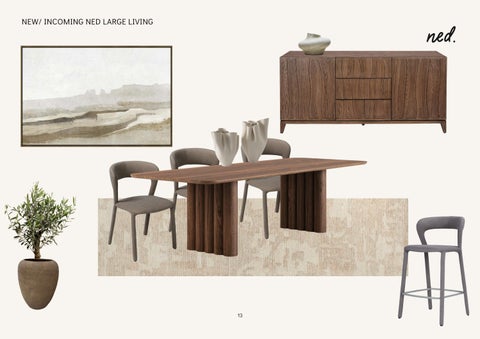 NED-Design Concepts 第 13 页