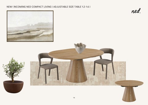 NED-Design Concepts 第 14 页