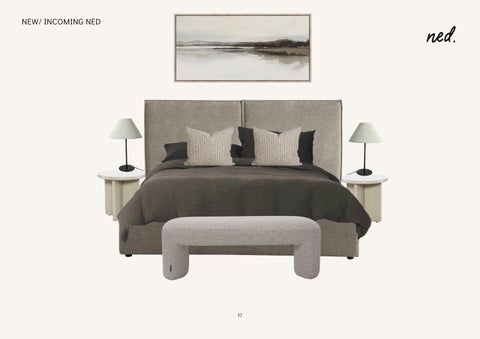 NED-Design Concepts 第 17 页