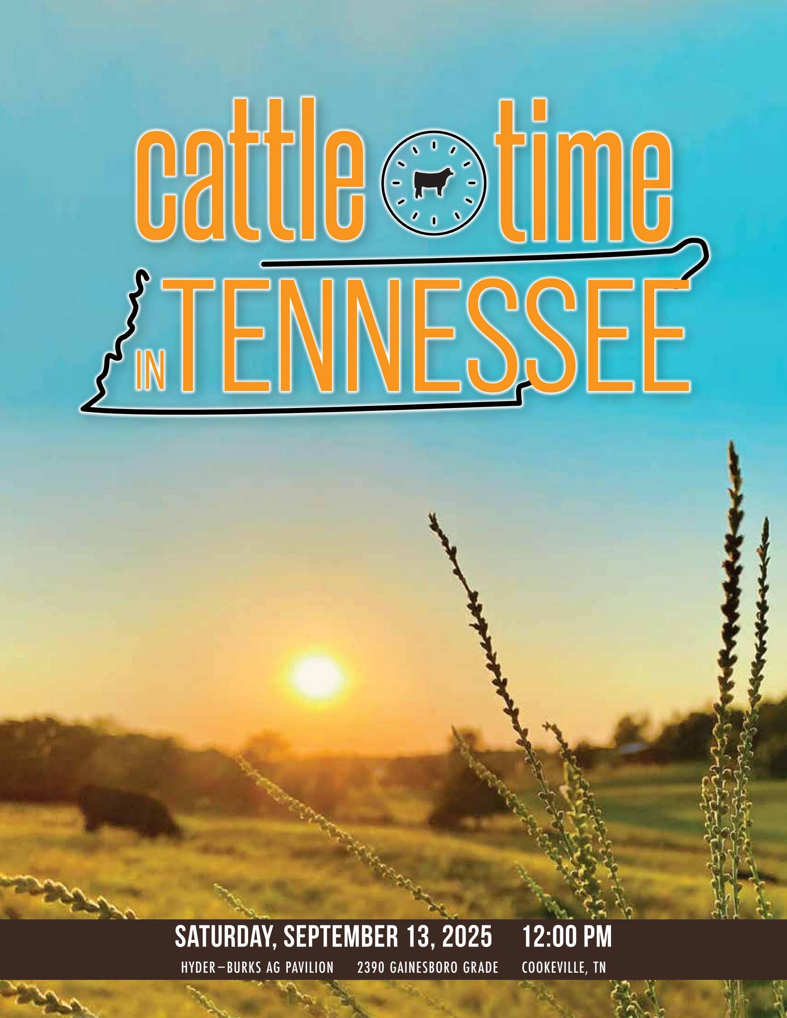 Cattle Time In Tennessee 2025 by Barbour Marketing Solutions, LLC - Issuu