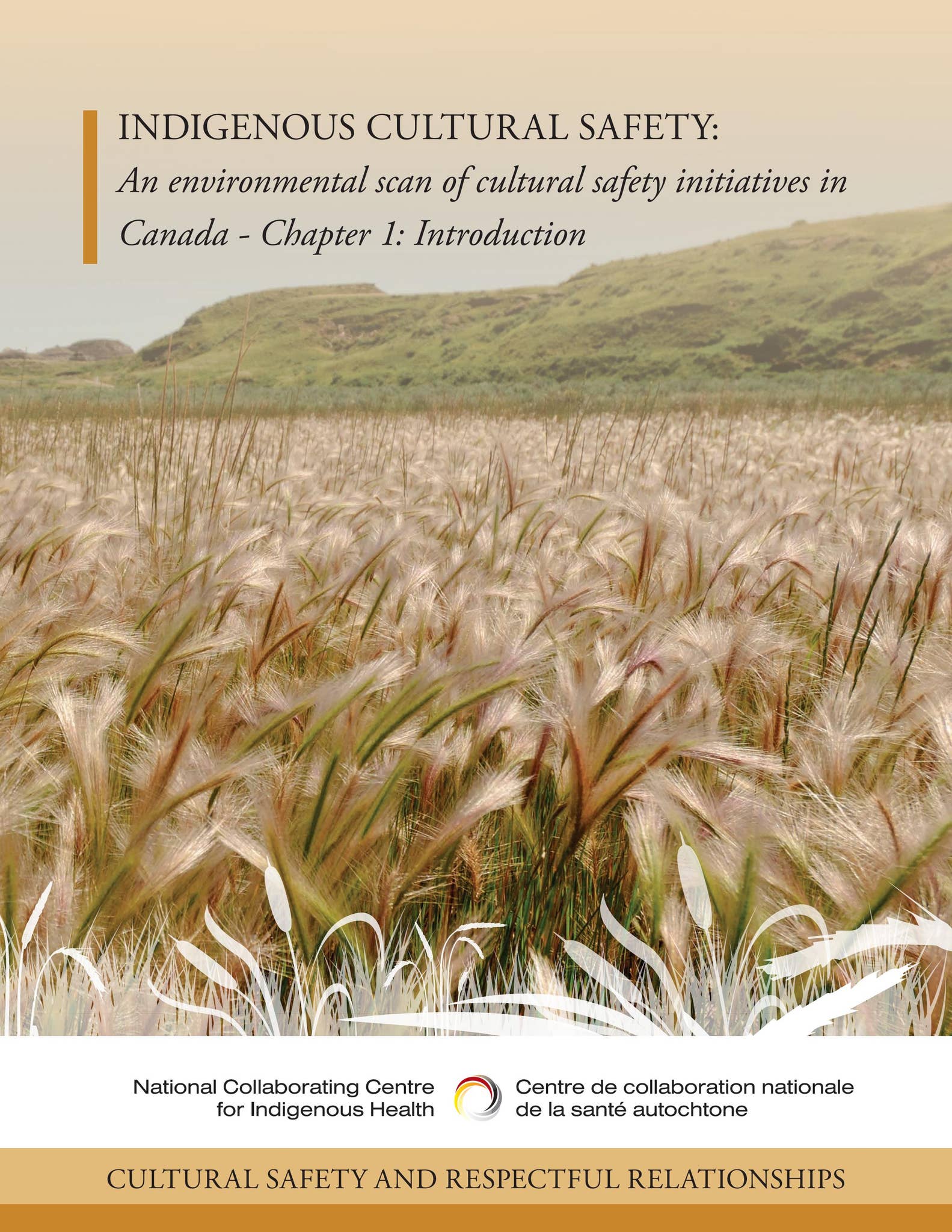 Indigenous cultural safety - Chapter 1: Introduction by NCCIH-CCNSA - Issuu