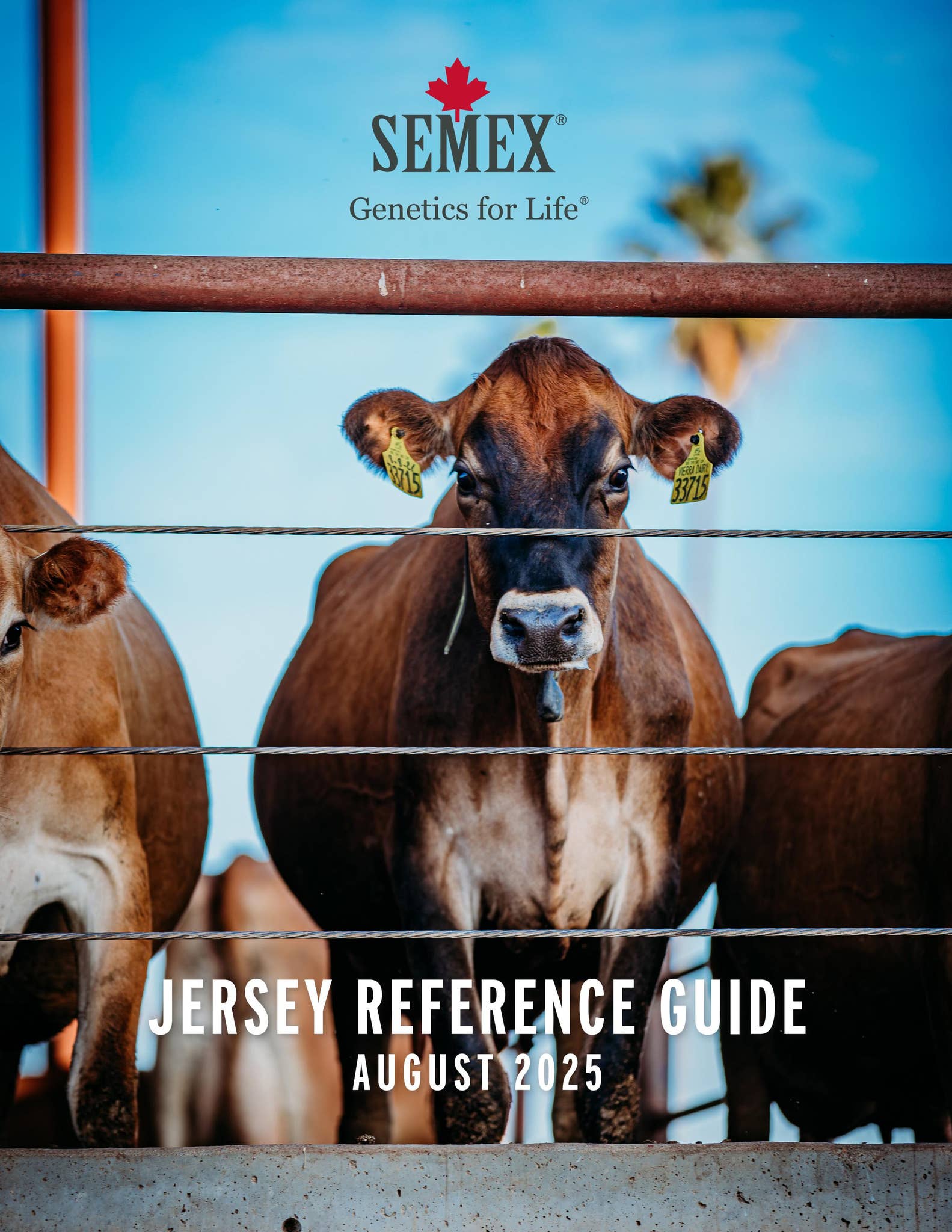 Semex - August 2025 USA Jersey Reference Guide by Semex - Issuu
