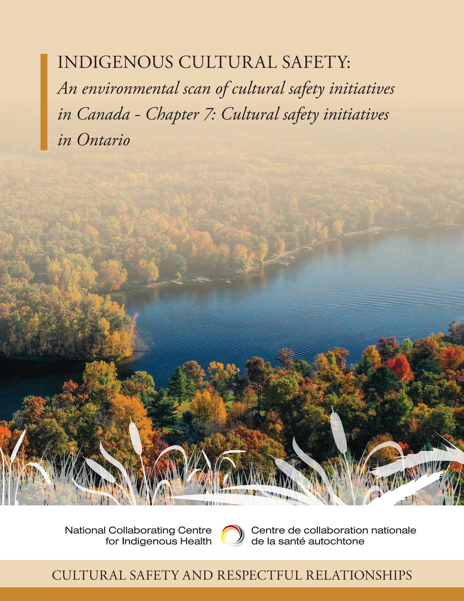 Indigenous cultural safety - Chapter 7: Ontario by NCCIH-CCNSA - Issuu