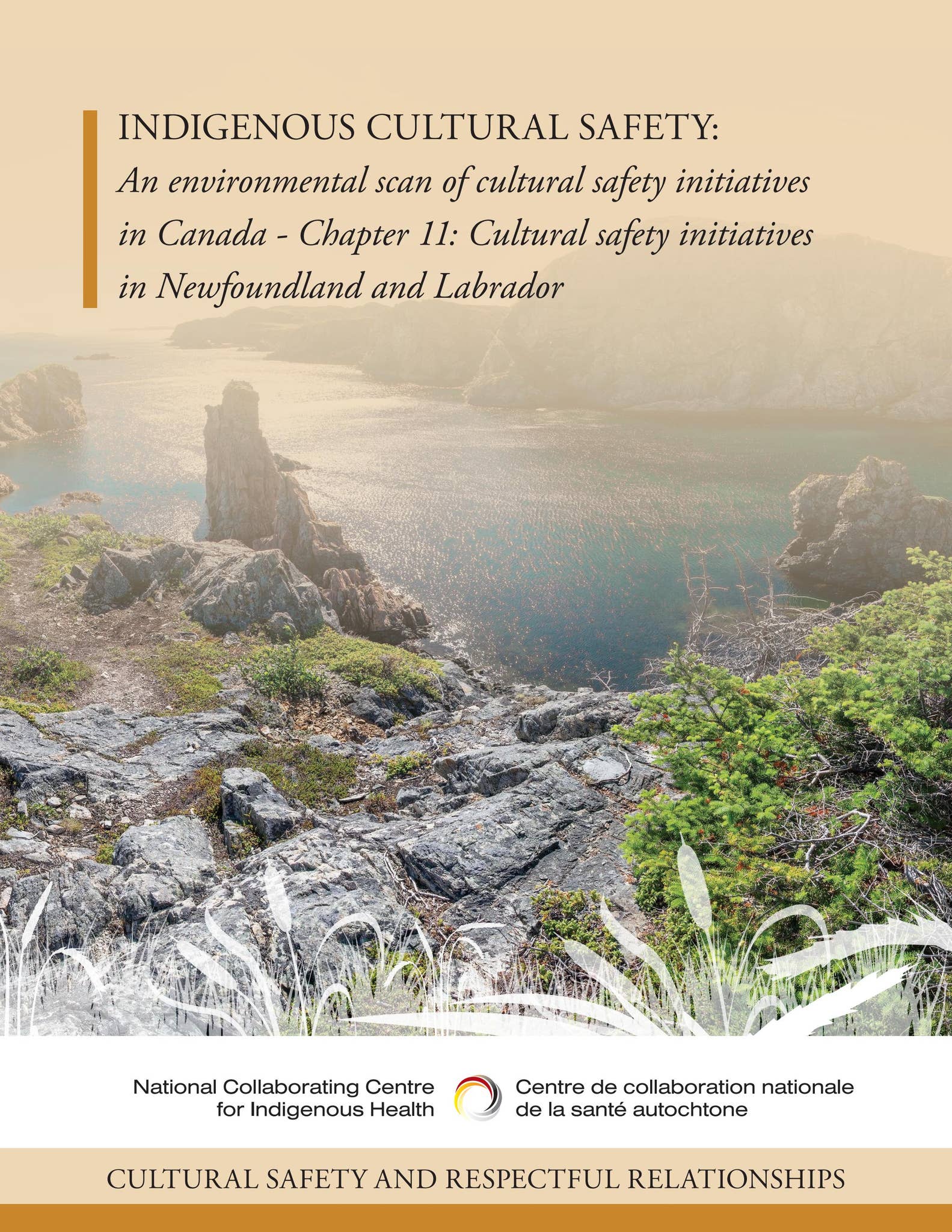 Indigenous cultural safety - Chapter 11: Newfoundland and Labrador by ...