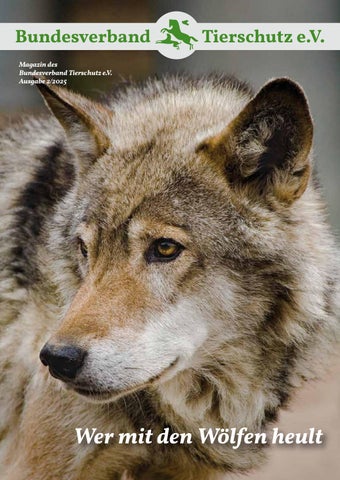 BVT-Magazin_2-2025_web