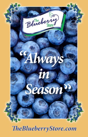The Blueberry Store Catalog