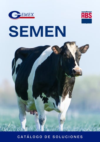 Catálogo Semen