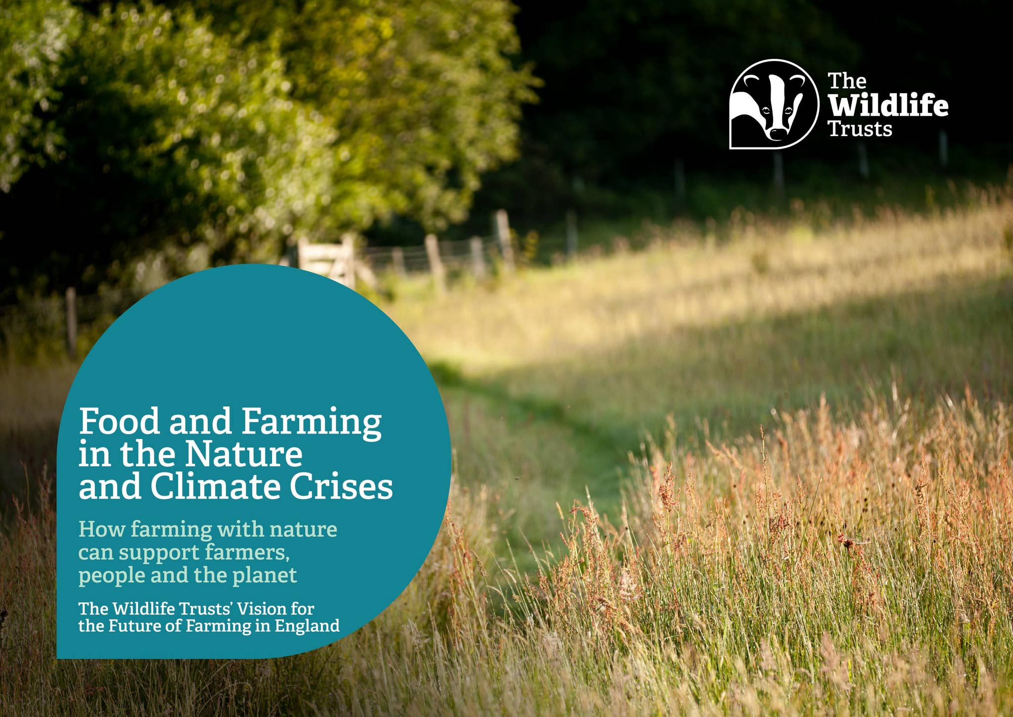 Farming Vision Examples Farming Vision by The Wildlife Trusts - Issuu