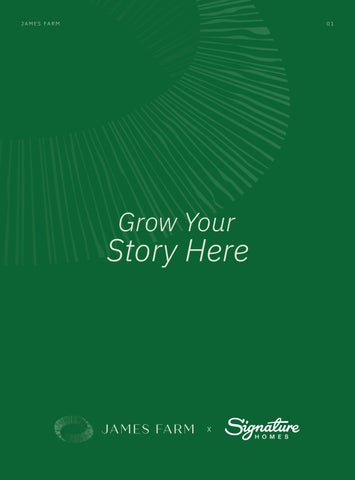 James Farm x Signature Homes 第 2 页