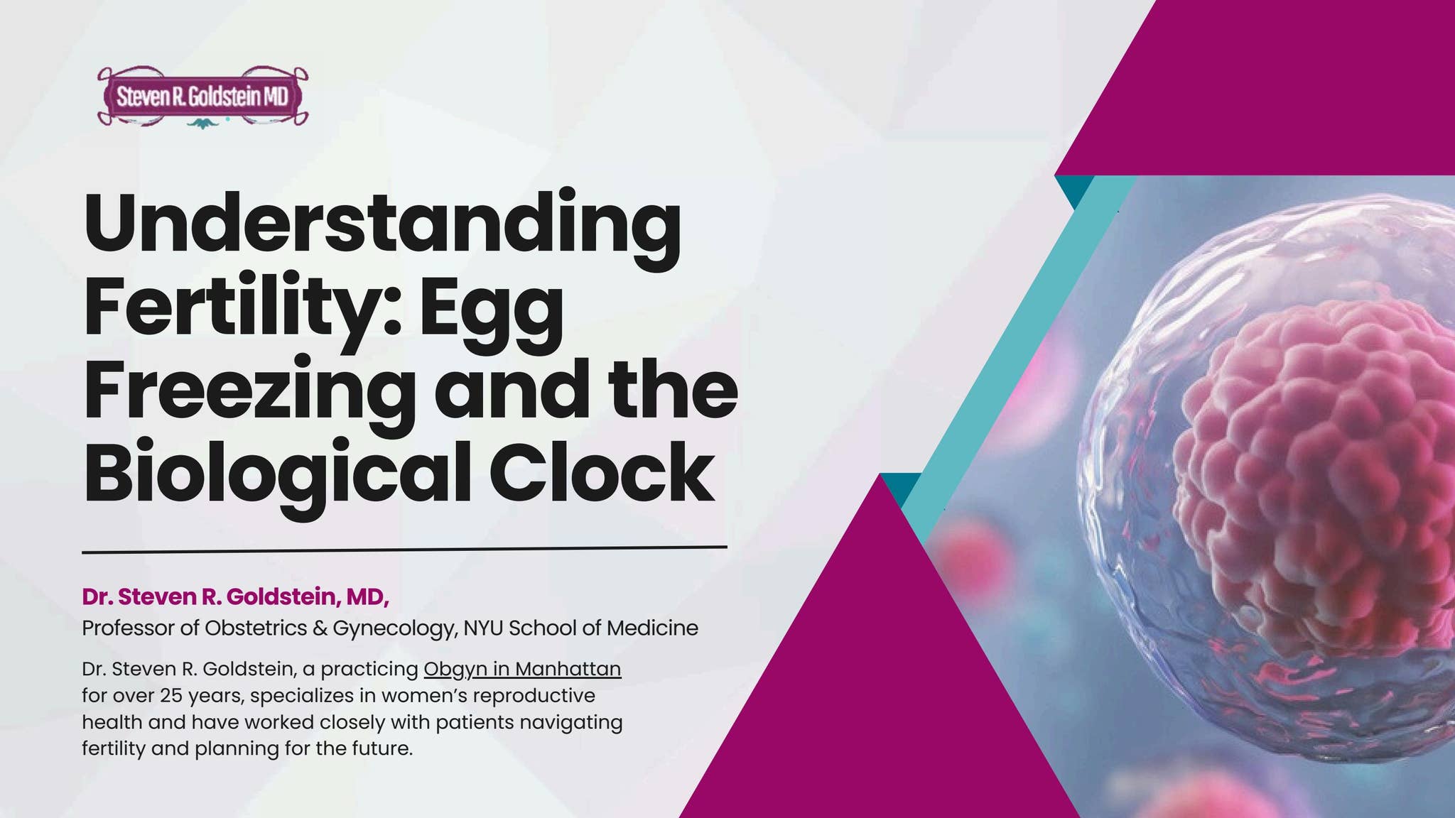 Egg Freezing and the Biological Clock by GoldsteinMD - Issuu