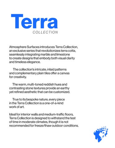 TERRA ATM 第 3 页