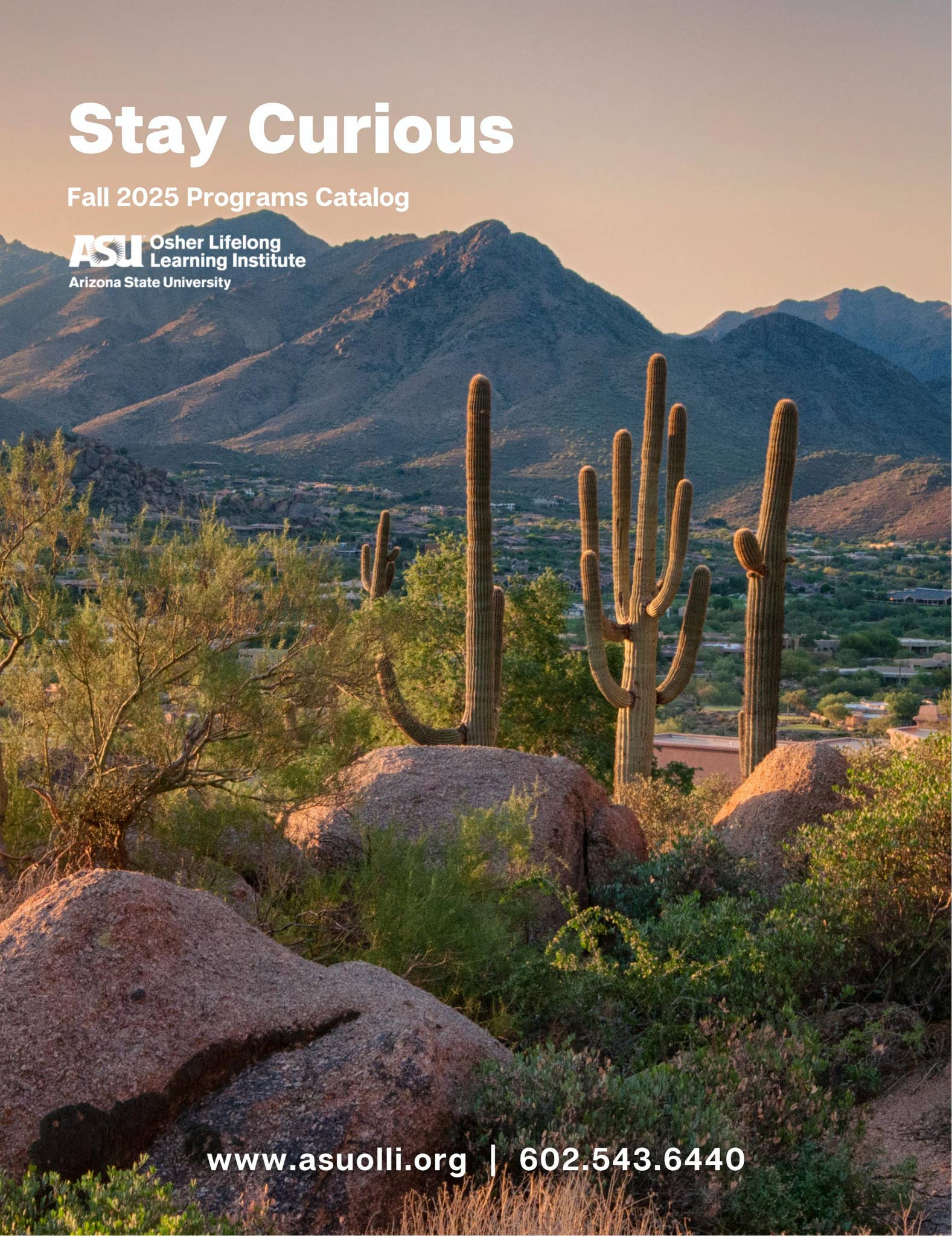 Cute Little Cat - Crewed Power Catamaran Charter - BoatsAtSea.com, image size:1577x2048