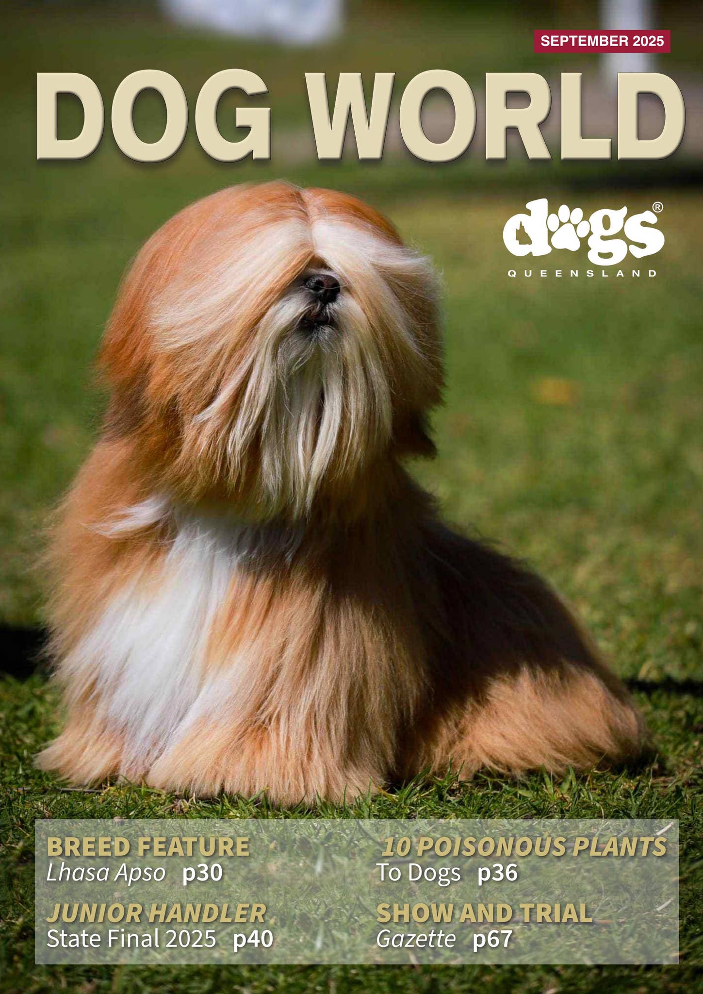 a road disappearing into the horizon