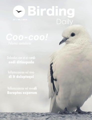 Revista 1 diagramacion 