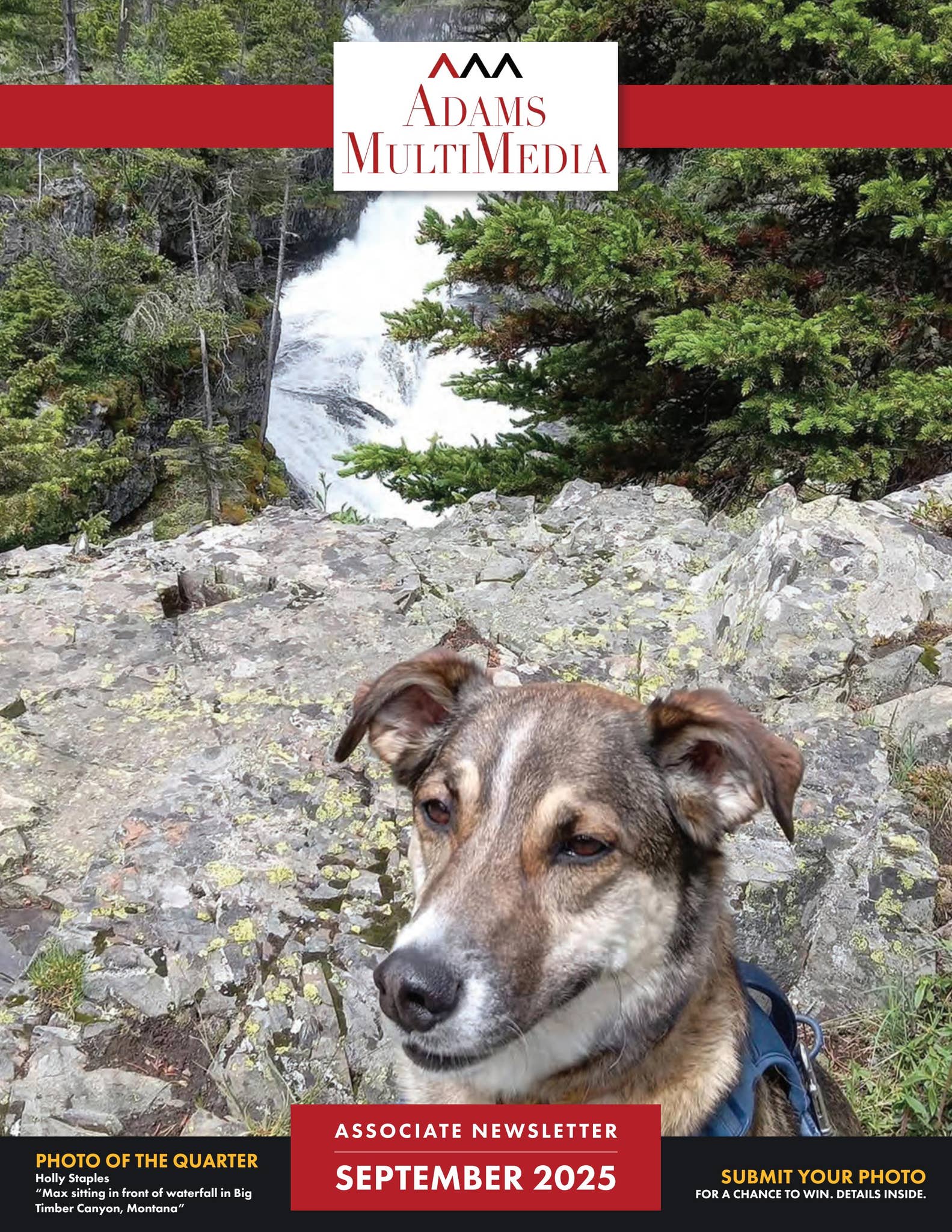AMM Newsletter - September 2025 by Adams Publishing Group - Issuu