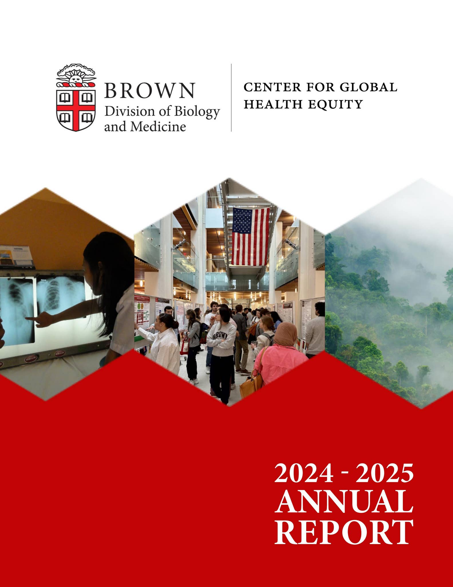 Center for Global Health Equity Annual Report 2024 - 2025 by Division ...