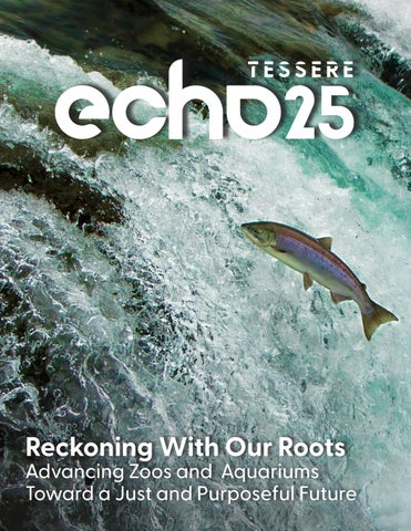 ECHO25 book