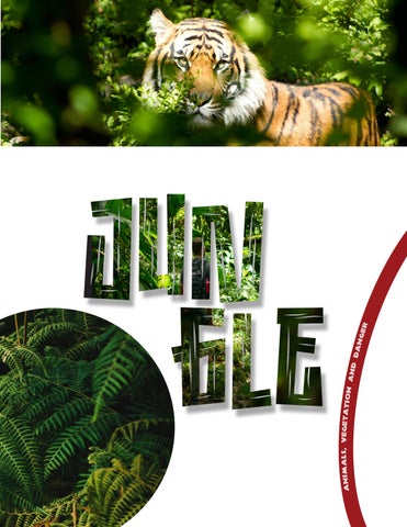 The JUNGLE: Animals, Vegetation and Danger