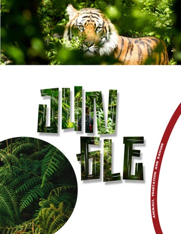 The JUNGLE: Animals, Vegetation and Danger