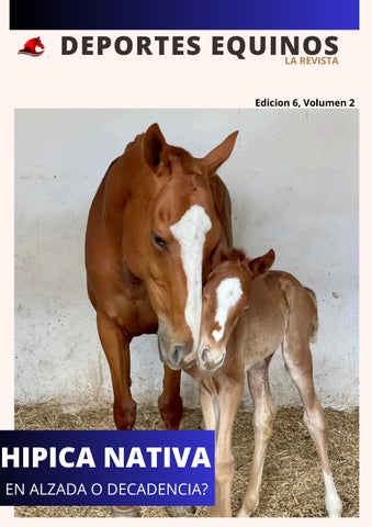 DEPORTES EQUINOS..LA REVISTA