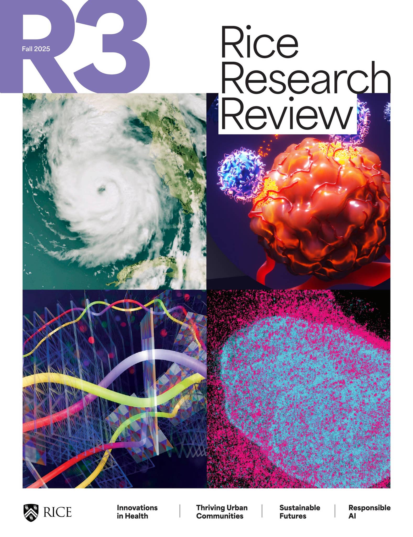 Study On Rice Rice Research Review | Fall 2025 by Rice University - Issuu