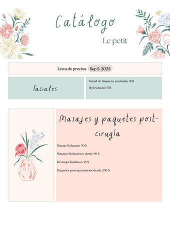 Catálogo de precios LePetit 2025