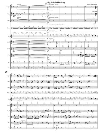 Lightning Burn, from Longleaf (score) 第 5 页