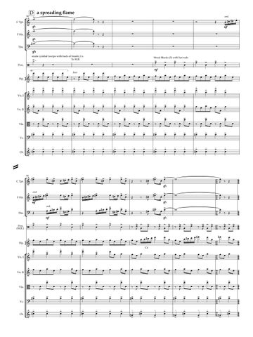 Lightning Burn, from Longleaf (score) 第 7 页