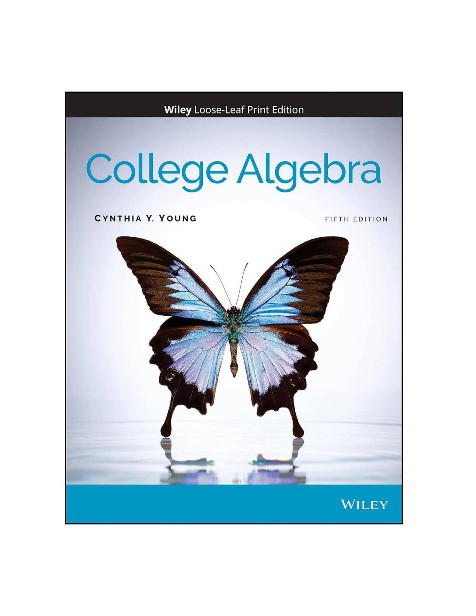 Solution manual For College Algebra, 5th Edition Cynthia Y. Youngs by ...