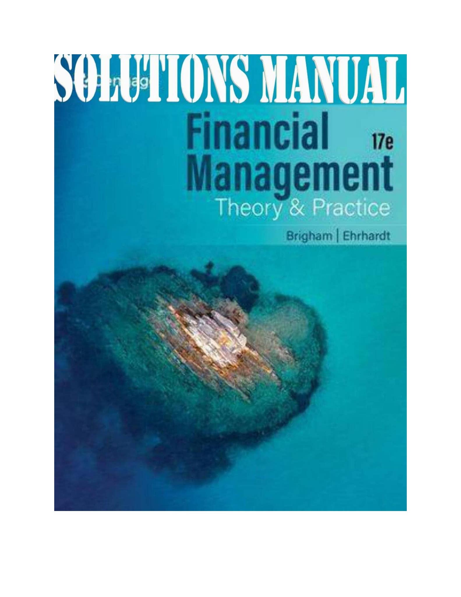 SOLUTIONS MANUAL for Financial Management Theory & Practice 17th Edition by Eugine and Michael ...