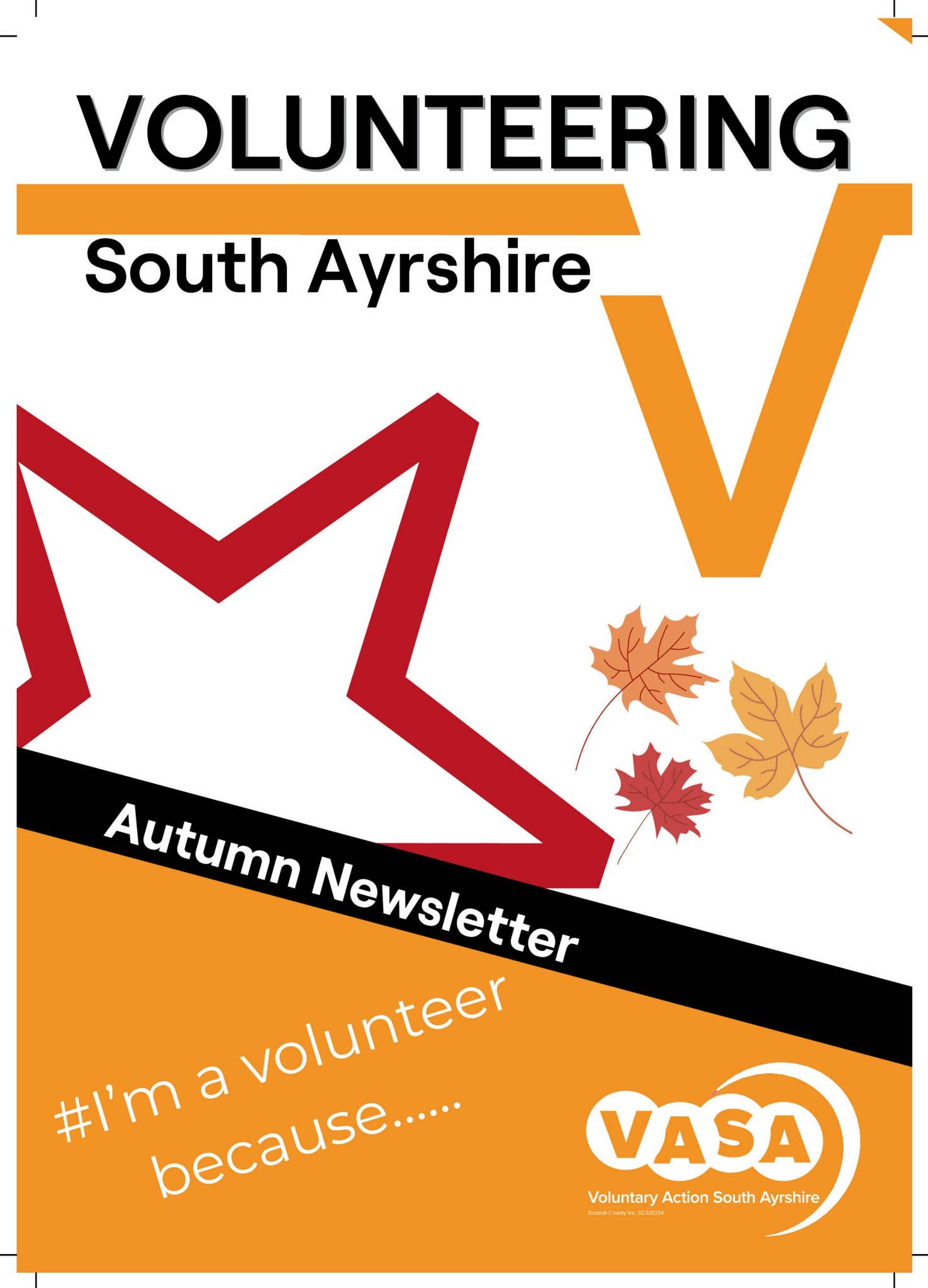 Volunteering Newsletter Autumn 2025 by Voluntary Action South Ayrshire ...