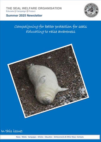 Summer-2025-SWO-Newsletter