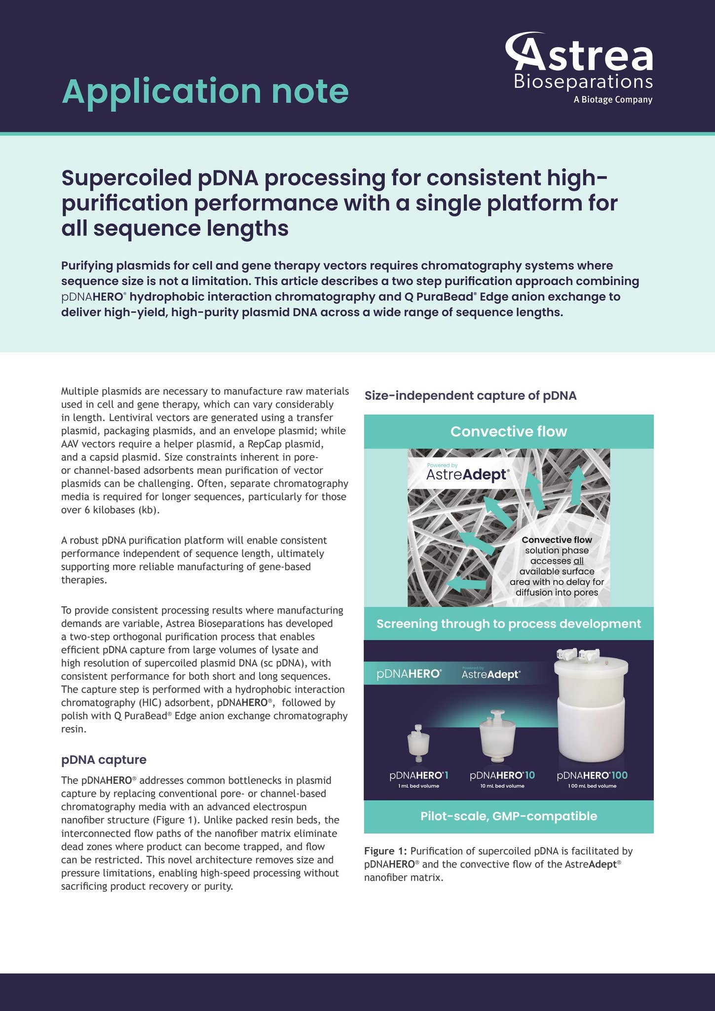 Super Processing Product Supercoiled pDNA processing for consistent high-purification ...