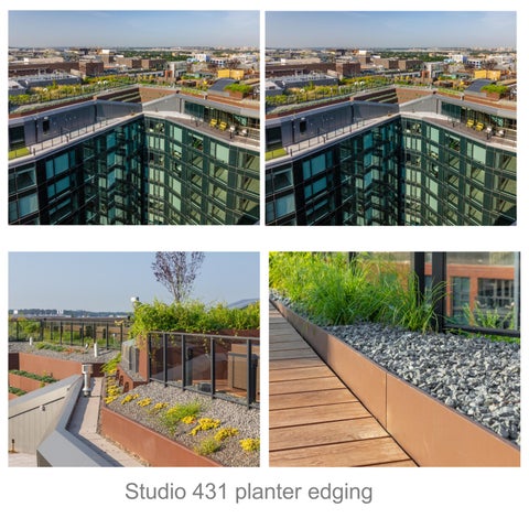 Rooftop Placemaking 第 7 页