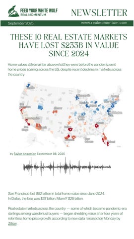 Campaign email - Newsletter