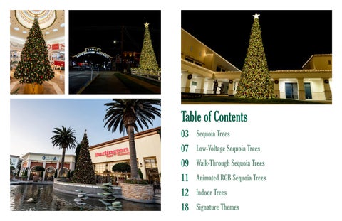 2025 Christmas Essentials | Trees | Distributor 第 2 页