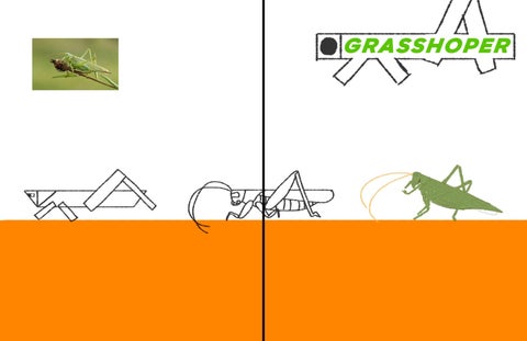GRASSHOPER