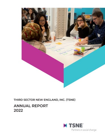 TSNE's 2022 Annual Report