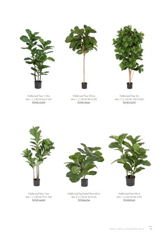 2025 Tree Creation 灯饰目录 第 11 页
