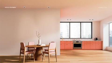 Grupo Marriott 灯饰目录 · Catálogo Ambiura - DOWNLIGHTS 第 12 页